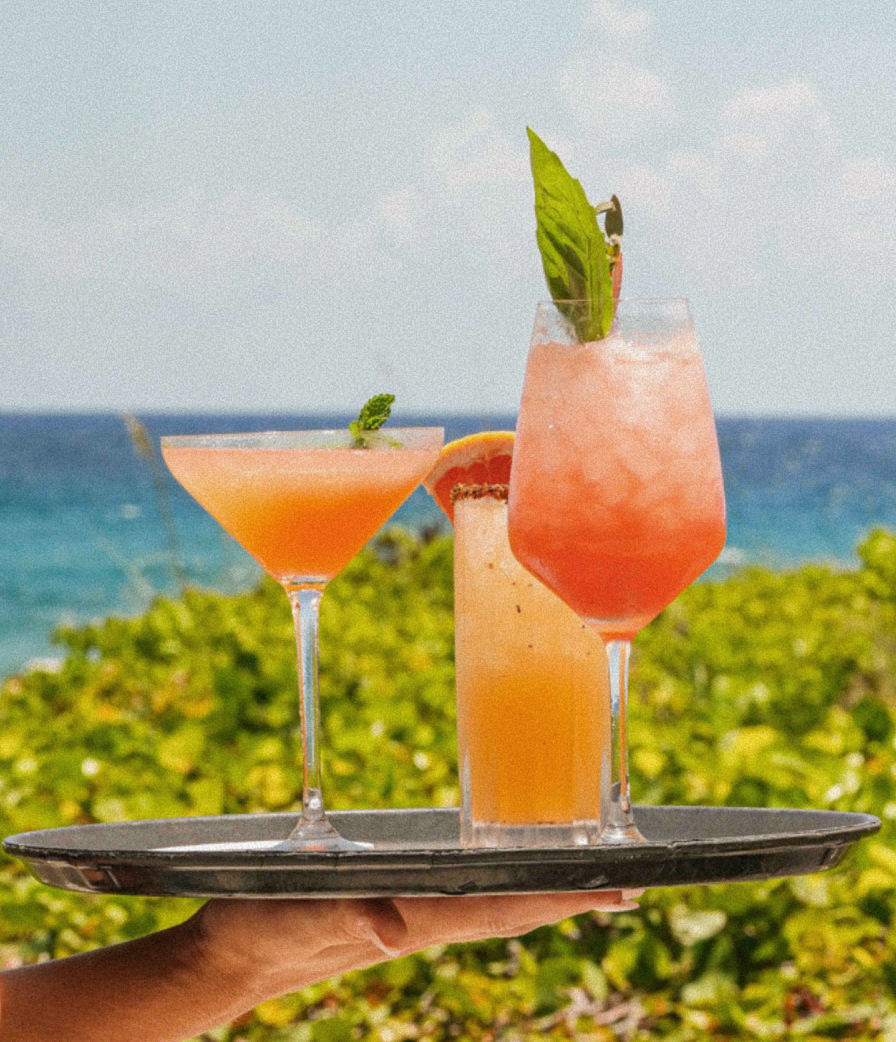 beach & pool beverage service