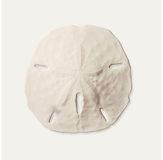 Sand Dollar